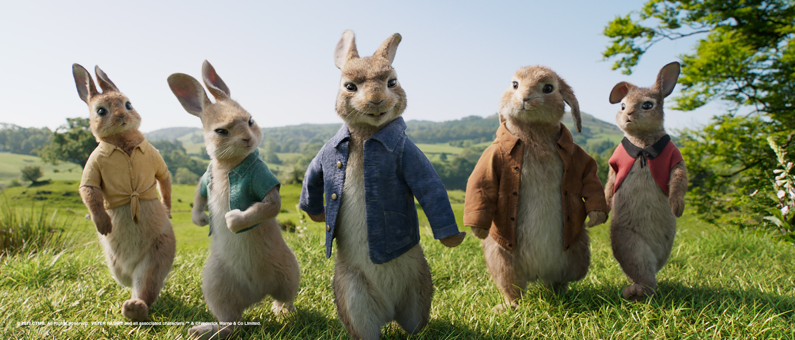 Peter Rabbit Screen PETER RABBIT™ | Sony Pictures Entertainment