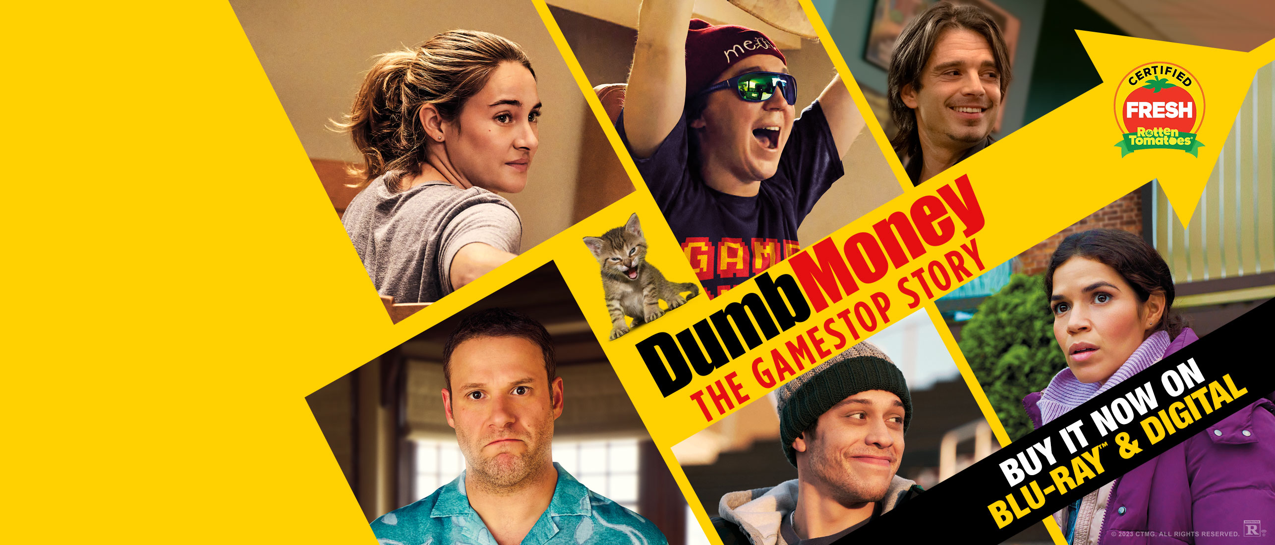 DUMB MONEY Sony Pictures Entertainment