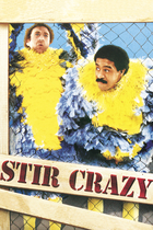 STIR CRAZY