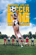 SOCCER DOG