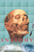 ANATOMY