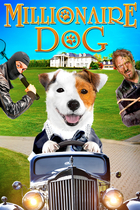MILLIONAIRE DOG MILLIONAIRE DOG
