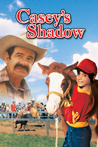 CASEY'S SHADOW