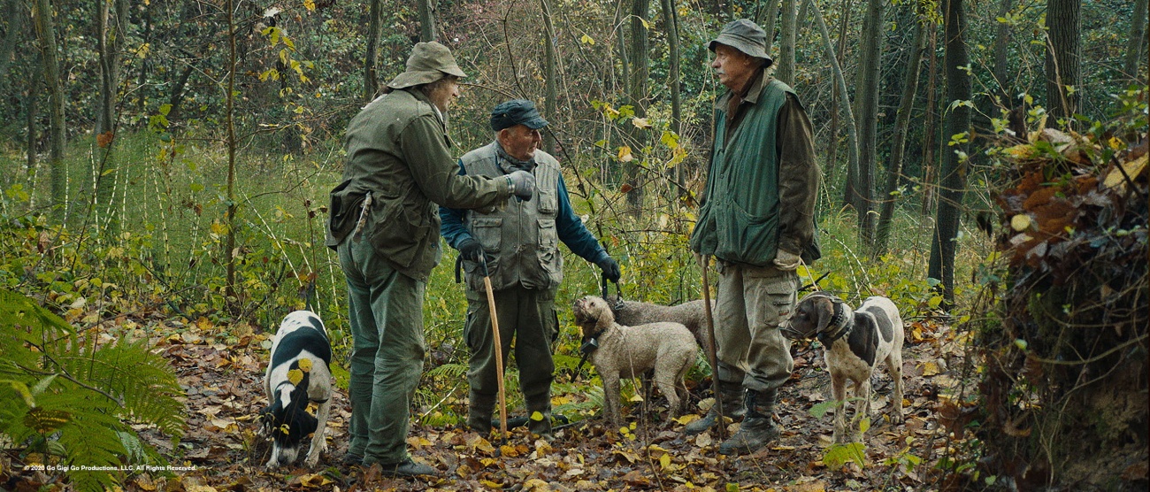 THE TRUFFLE HUNTERS Sony Pictures Entertainment