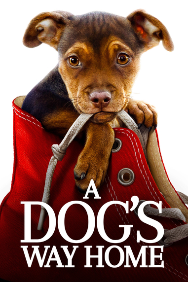 A DOG'S WAY HOME | Sony Pictures Entertainment