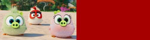 The Angry Birds Movie 2 Register for Updates