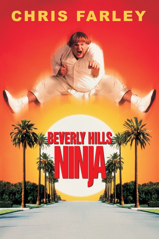 BEVERLY HILLS NINJA