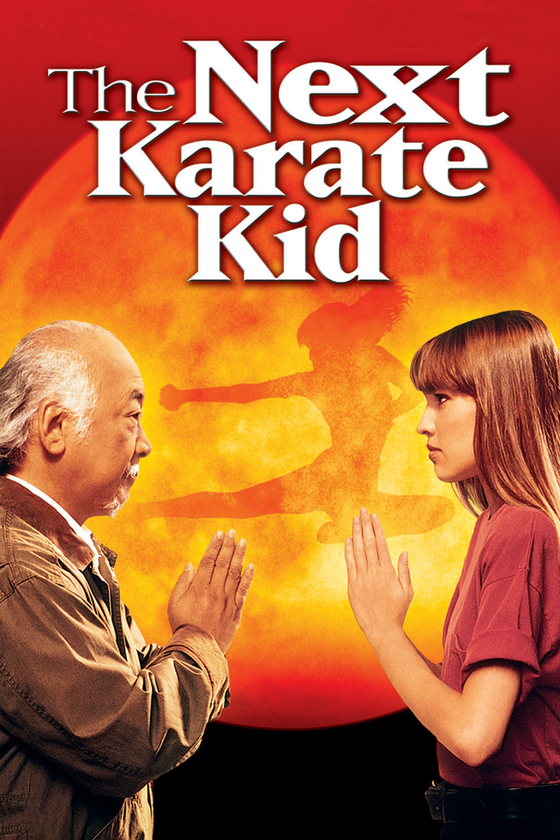 THE NEXT KARATE KID THE NEXT KARATE KID