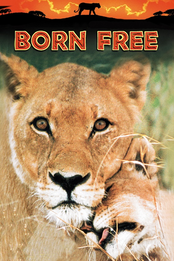 BORN FREE BORN FREE