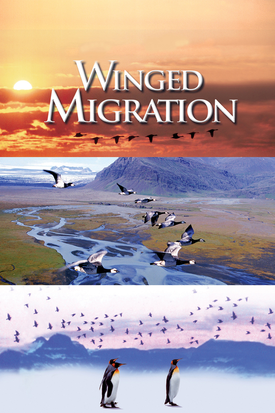WINGED MIGRATION WINGED MIGRATION