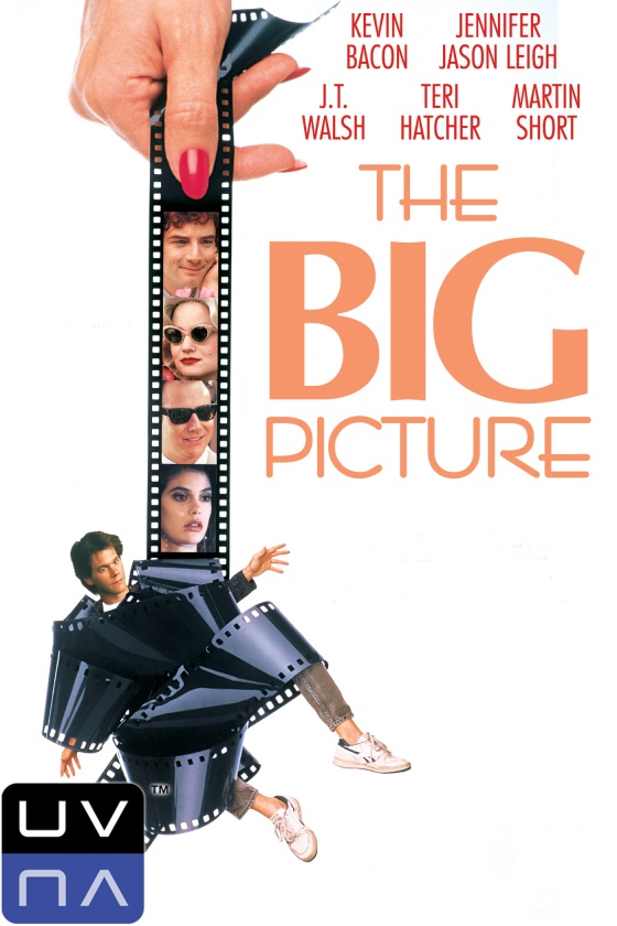 THE BIG PICTURE THE BIG PICTURE