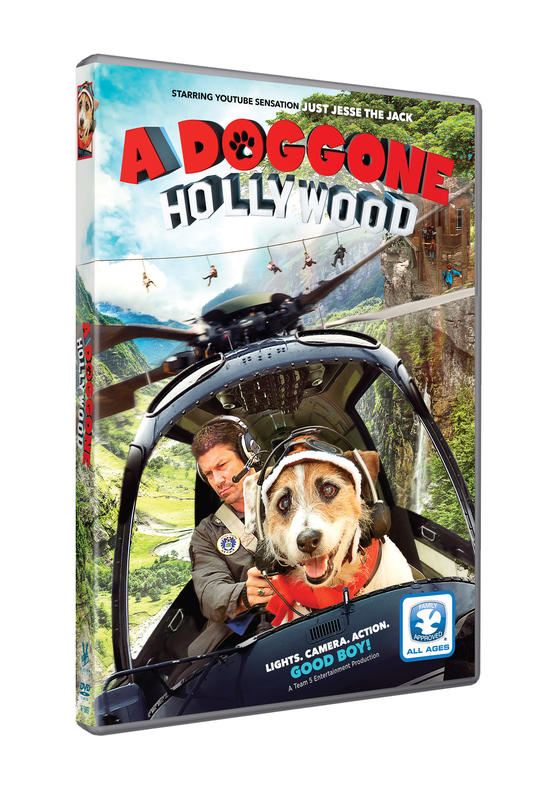 A DOGGONE HOLLYWOOD