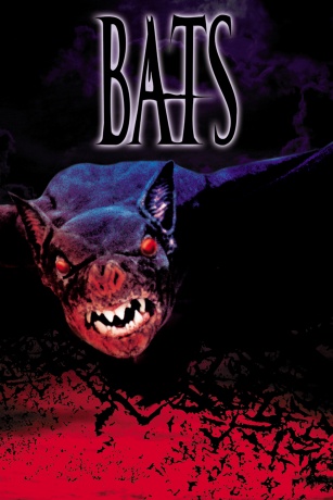 BATS BATS
