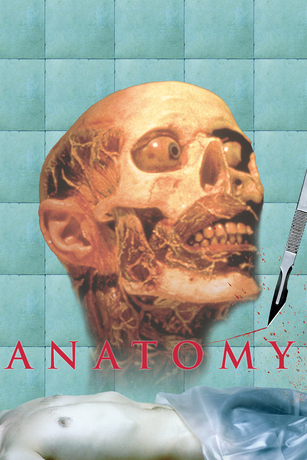 ANATOMY ANATOMY